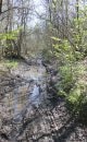 Forêt de la Roche Turpin
